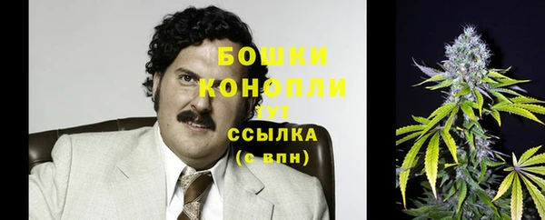 меф Вяземский