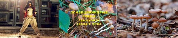 прущий лед Алзамай