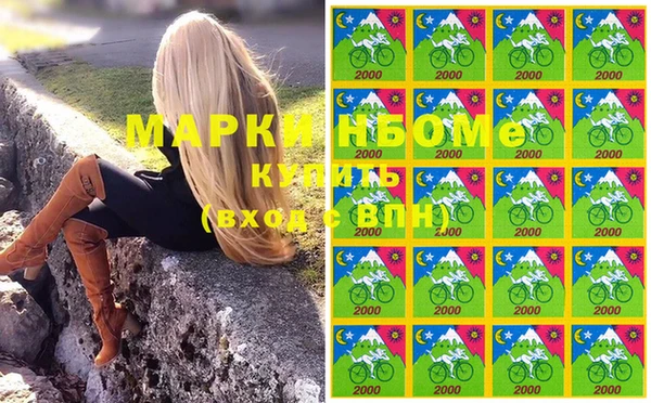 прущий лед Алзамай