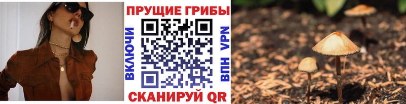 наркота Бавлы shop какой сайт Галлюциногенные грибы Psilocybine cubensis